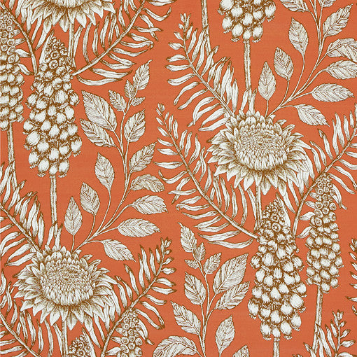 My top wallpaper picks