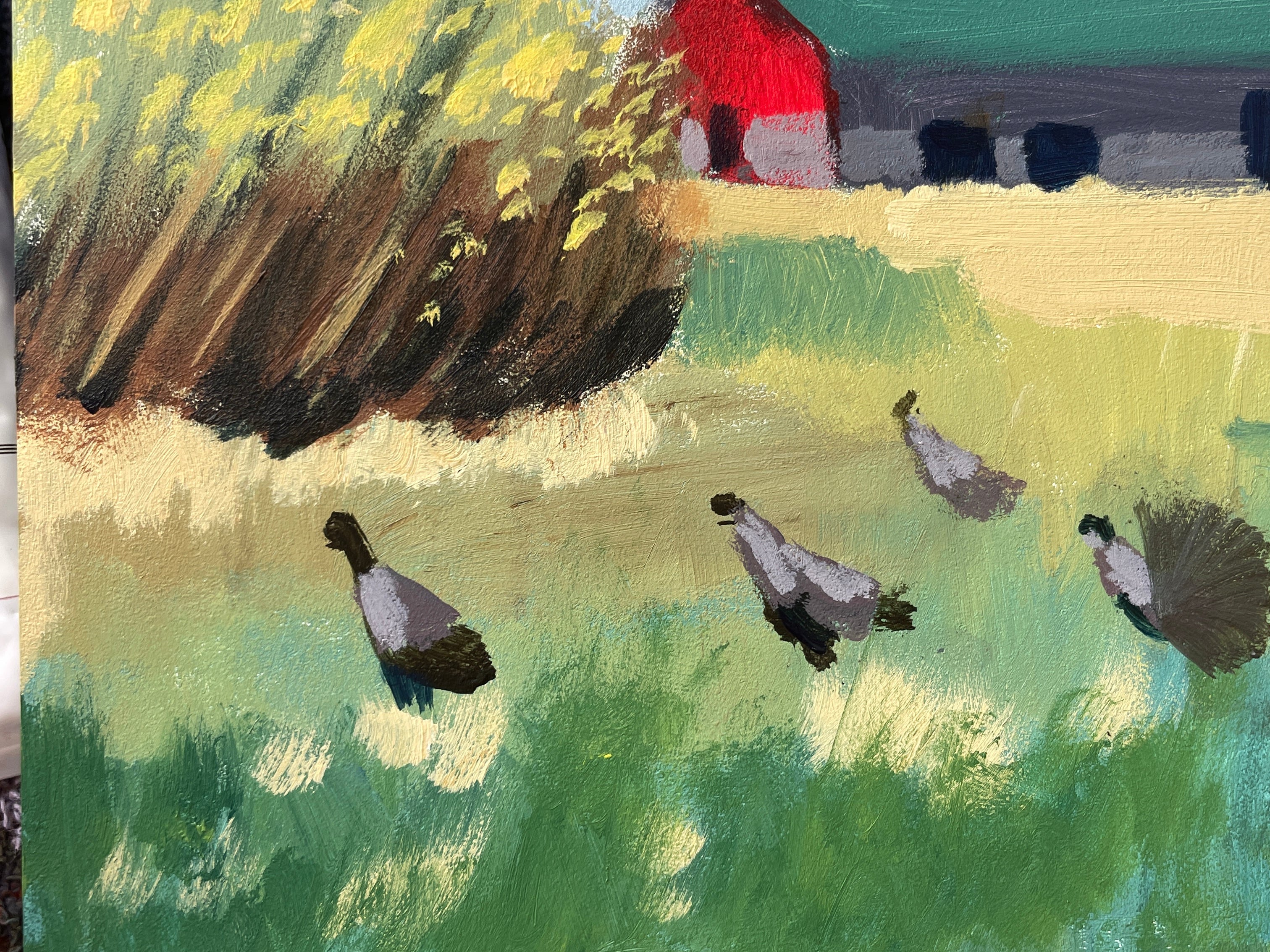 Turkeys