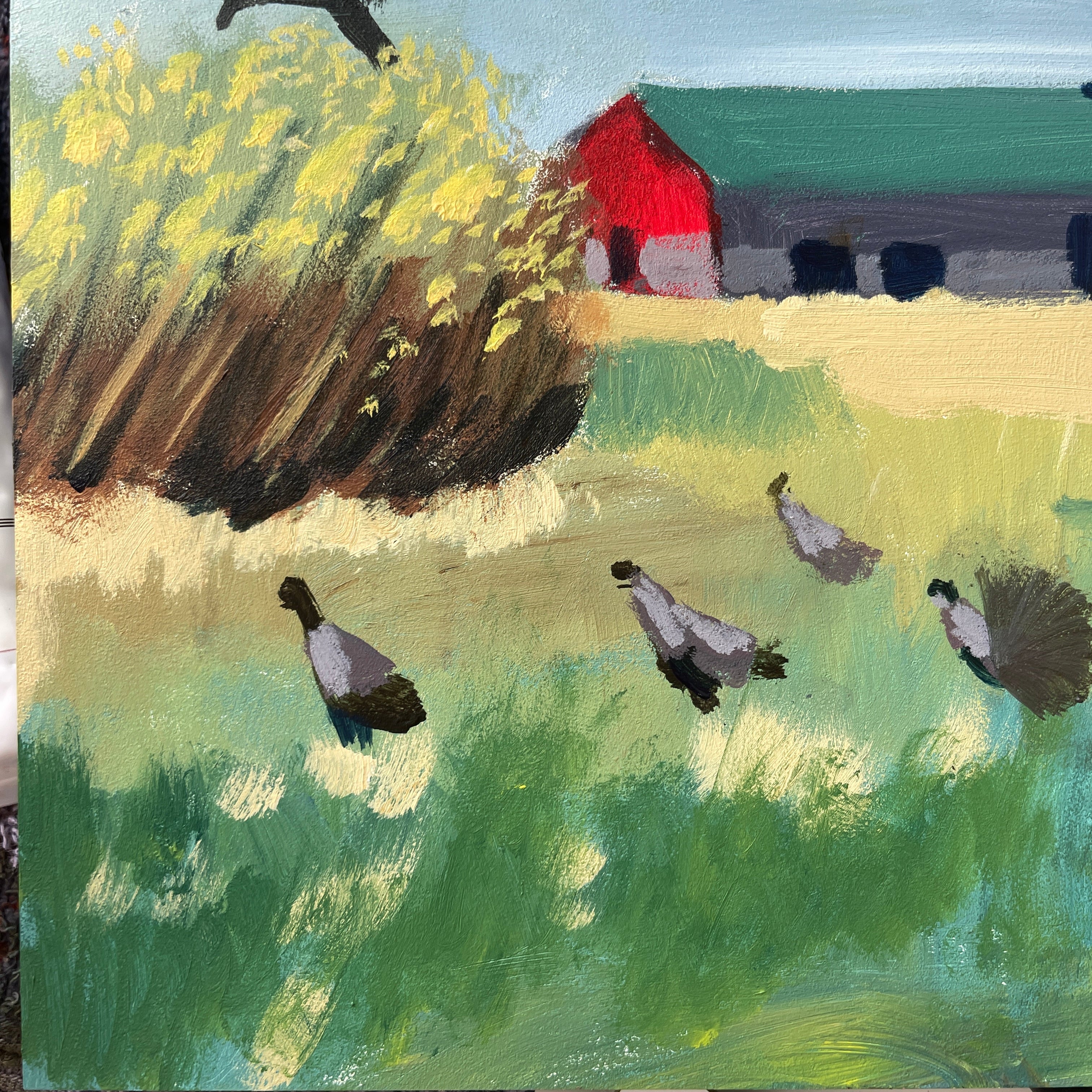 Turkeys
