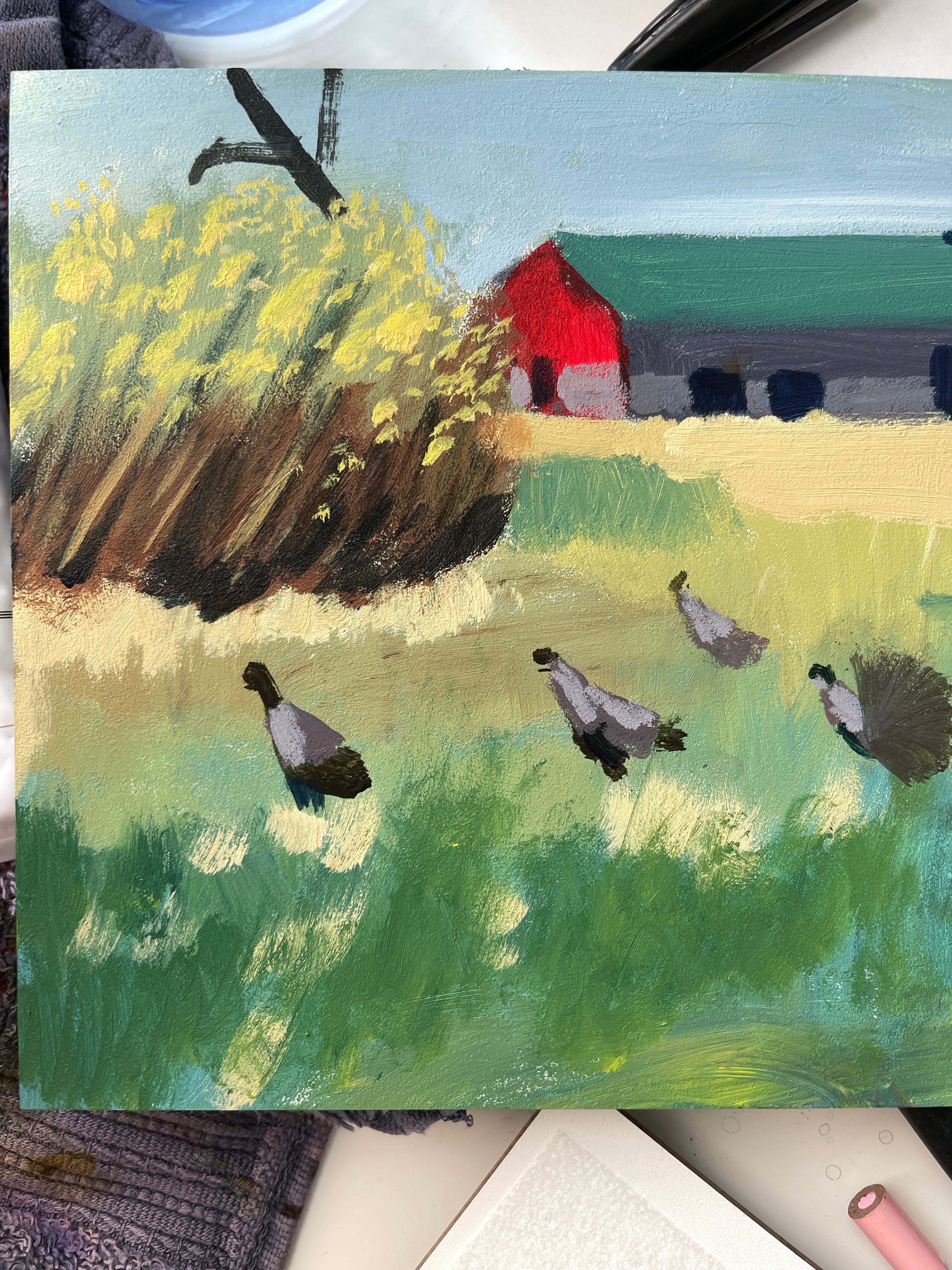 Turkeys