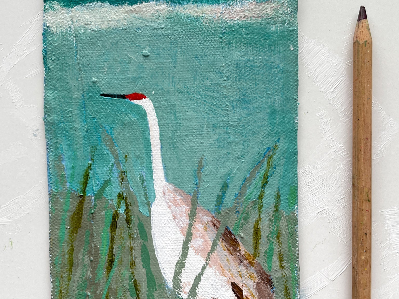 Sandhill Crane