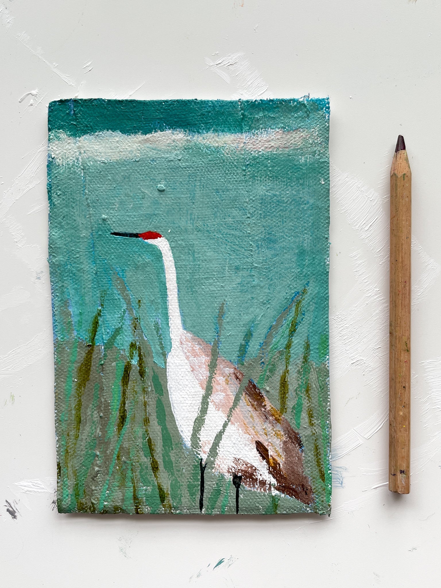Sandhill Crane